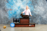 Dachshund Longhaired #7 Sat BOVGCH Judge Charles Olvis