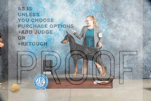 Doberman Pinscher #5 Sat OHG3 Judge Charles Olvis_MJ_2043_Midland2023_HR3