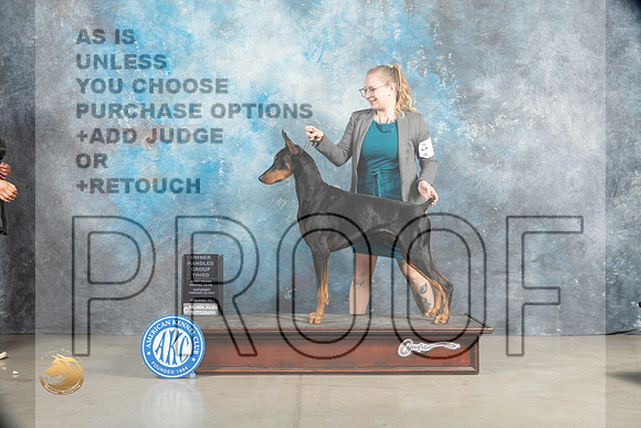 Doberman Pinscher #5 Sat OHG3 Judge Charles Olvis_MJ_2042_Midland2023_HR3