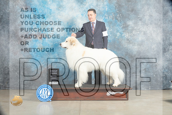 Great Pyrenees #5 Sat G3 Judge Elizabeth Muthard_MJ_2045_Midland2023_HR3