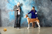 Ibizan Hound #9 Sat G4 Judge Jon Cole