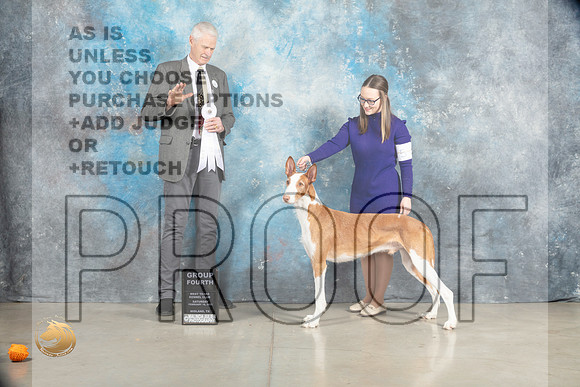 Ibizan Hound #9 Sat G4 Judge Jon Cole_MJ_1965_Midland2023_HR3