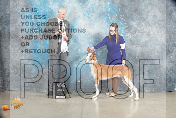 Ibizan Hound #9 Sat G4 Judge Jon Cole_MJ_1967_Midland2023_HR3