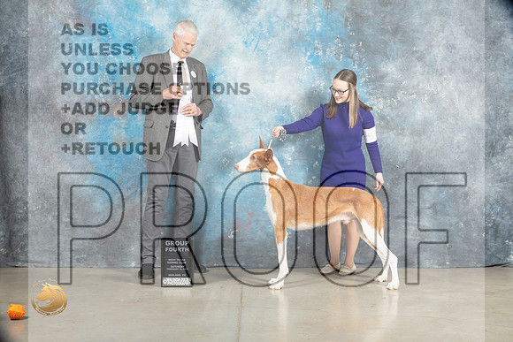 Ibizan Hound #9 Sat G4 Judge Jon Cole_MJ_1970_Midland2023_HR3