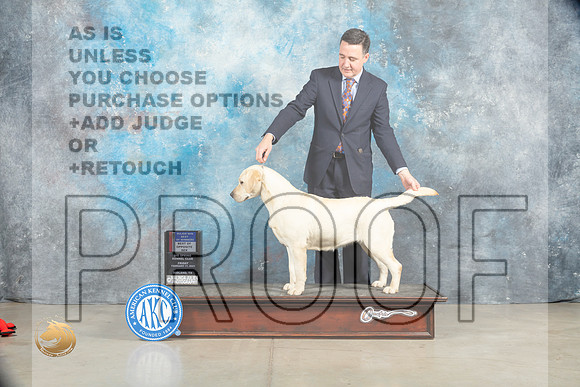 Labrador Retriever #40 Sat BOWBOSM Judge Donna O'Connell_MJ_1920_Midland2023_HR3