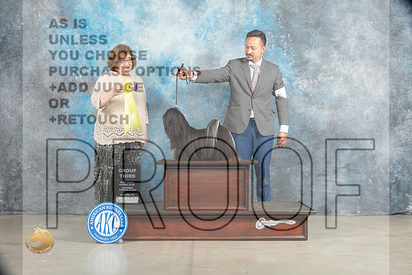 Lhasa Apso #6 Sat G3 Judge Elizabeth Muthard_MJ_2112_Midland2023_HR3