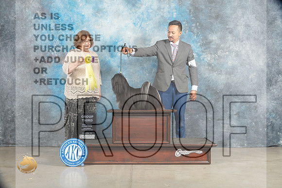 Lhasa Apso #6 Sat G3 Judge Elizabeth Muthard_MJ_2113_Midland2023_HR3