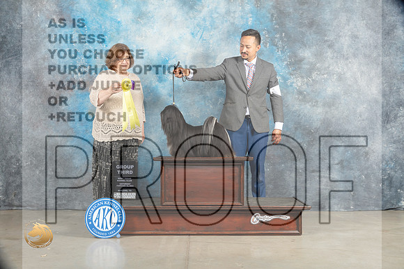 Lhasa Apso #6 Sat G3 Judge Elizabeth Muthard_MJ_2114_Midland2023_HR3