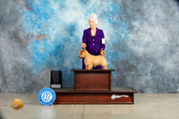 Norwich Terrier #6 Sat OHG2 Judge Elizabeth Muthard