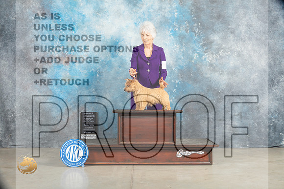 Norwich Terrier #6 Sat OHG2 Judge Elizabeth Muthard_MJ_2197_Midland2023_HR3