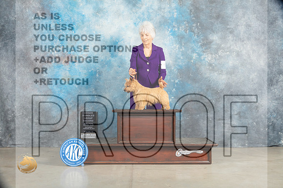 Norwich Terrier #6 Sat OHG2 Judge Elizabeth Muthard_MJ_2198_Midland2023_HR3