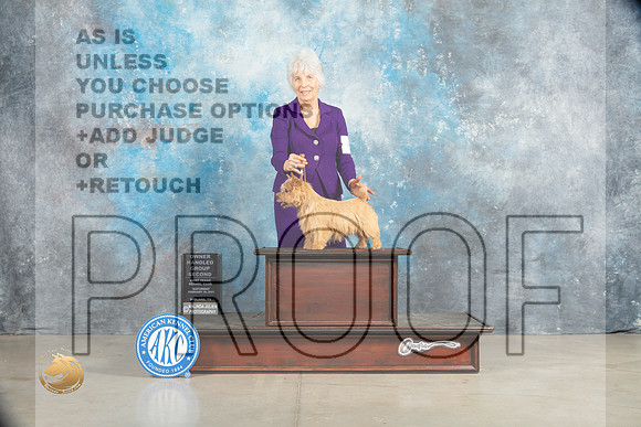 Norwich Terrier #6 Sat OHG2 Judge Elizabeth Muthard_MJ_2199_Midland2023_HR3