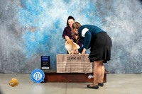 Pomeranian #17 Sat G1 Judge Elizardo Valadez