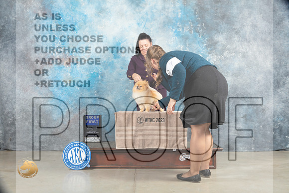 Pomeranian #17 Sat G1 Judge Elizardo Valadez_MJ_1898_Midland2023_HR3