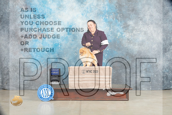 Pomeranian #17 Sat G1 Judge Elizardo Valadez_MJ_1899_Midland2023_HR3