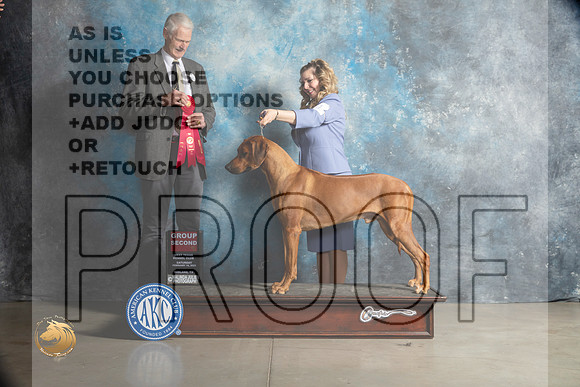 Rhodesian Ridgeback #11 Sat G2 Judge Jon Cole_MJ_1950_Midland2023_HR3