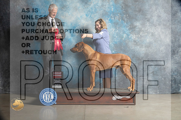 Rhodesian Ridgeback #11 Sat G2 Judge Jon Cole_MJ_1953_Midland2023_HR3