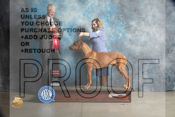 Rhodesian Ridgeback #11 Sat G2 Judge Jon Cole_MJ_1954_Midland2023_HR3