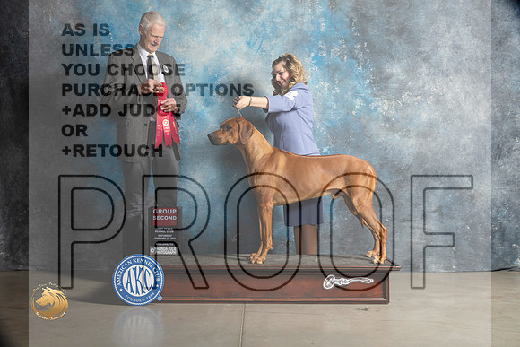 Rhodesian Ridgeback #11 Sat G2 Judge Jon Cole_MJ_1955_Midland2023_HR3