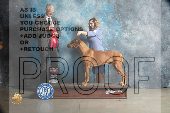 Rhodesian Ridgeback #11 Sat G2 Judge Jon Cole_MJ_1957_Midland2023_HR3