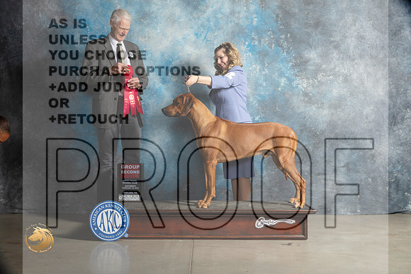 Rhodesian Ridgeback #11 Sat G2 Judge Jon Cole_MJ_1958_Midland2023_HR3