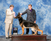 German Shepherd Dog #9 Sun WD Anderson Barbra and Nicol Jellison and Dale Bedea Agent Brian Livingsont Judge Charlie Olvis