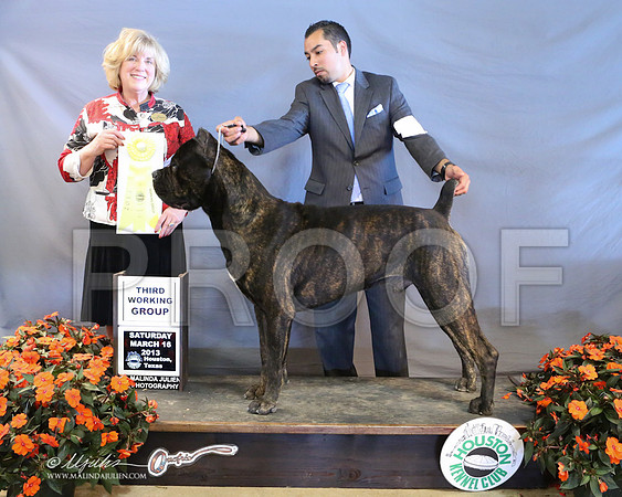 Cane-8918-LR