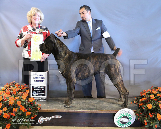 Cane-8920-LR