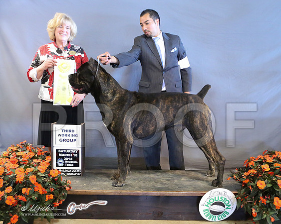 Cane-8922-LR