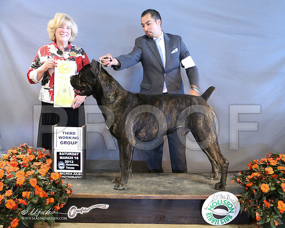 Cane-8923-LR