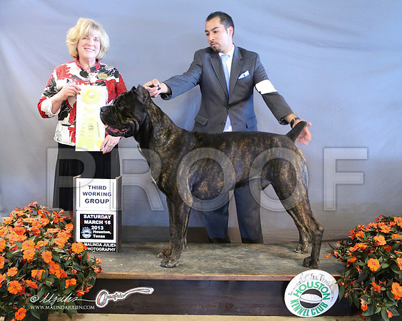 Cane-8925-LR