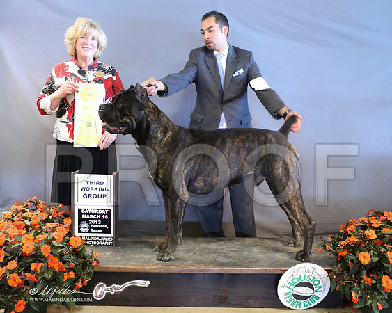 Cane-8926-LR