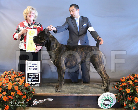 Cane-8928-LR