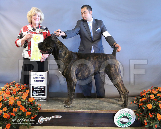Cane-8929-LR