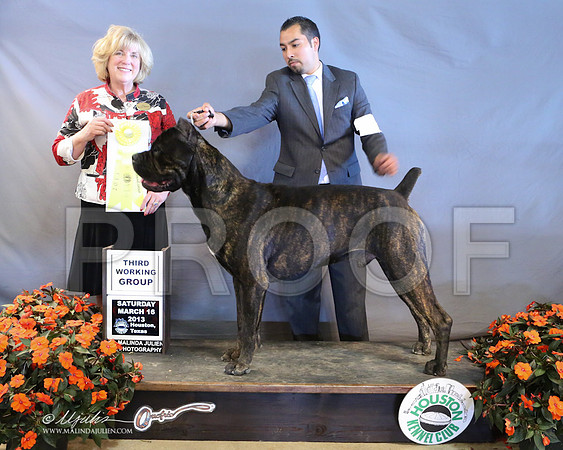 Cane-8932-LR