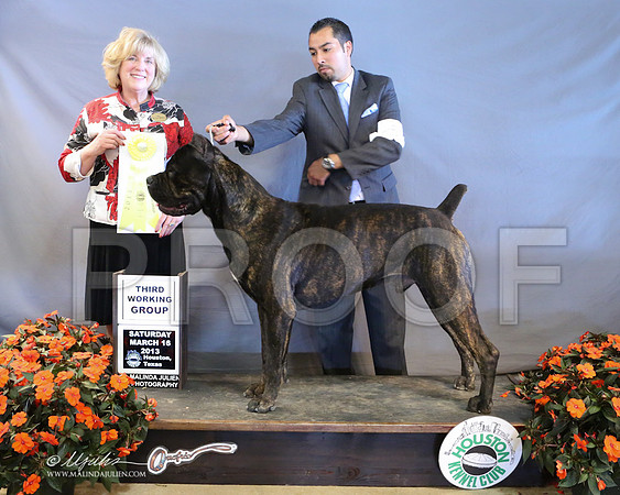 Cane-8933-LR