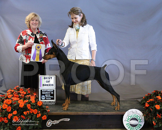 Dobe-8493-LR