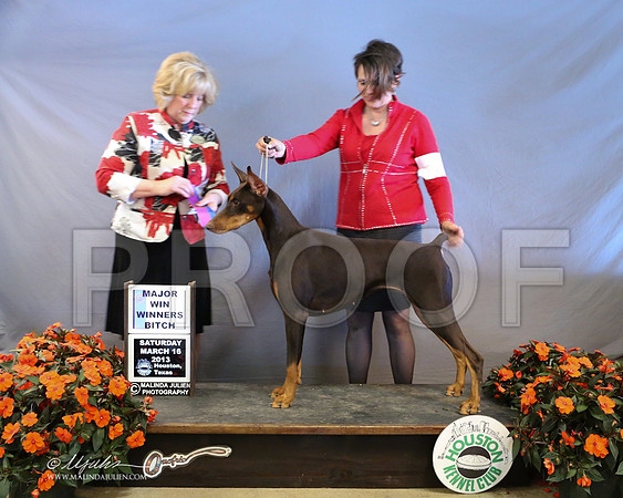 Dobe-8376-LR