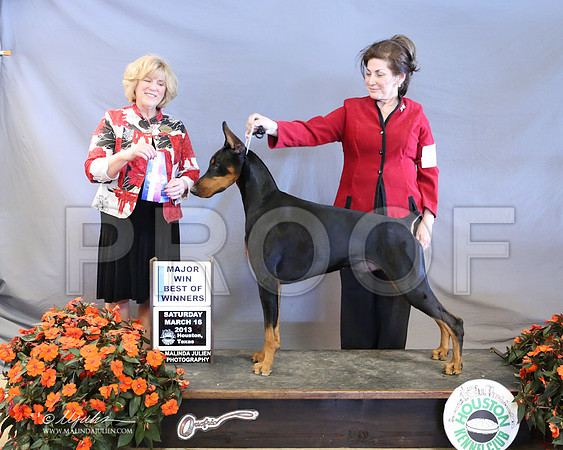 Dobe-8518-LR
