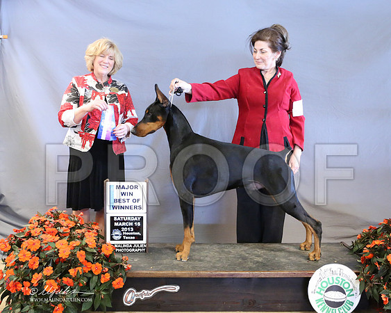 Dobe-8519-LR