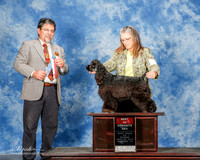 Cocker Spaniel #8 Sun BOS Buckley Shawna and Stacey Rossi Judge Elizardo Valadez