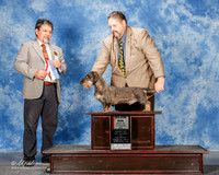 Dachsund #17 Sat Maj BOS Helms Mike and Charlee Judge Elizardo Valadez