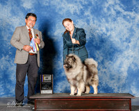 Keeshonden #8 Sun BOB Boehringer Nathan and Lori Hooper and Anna Boehringer Judge Elizardo Valadez