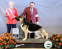 German Shepherd Dog #5 Alfredo Urias Agent Sergio Espejo Judge S Newcomb LR Houston Mar 2013