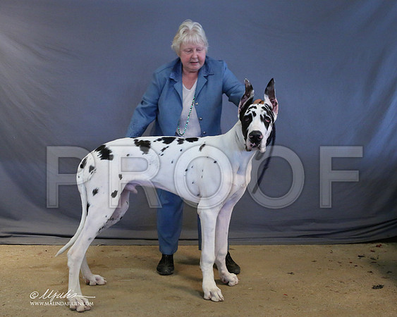 Dane-9026-LR