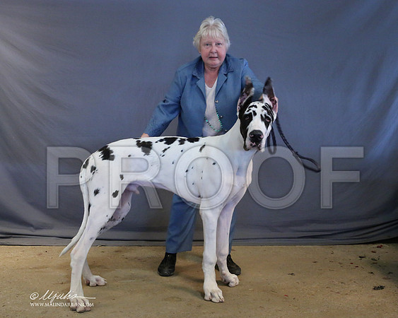 Dane-9028-LR