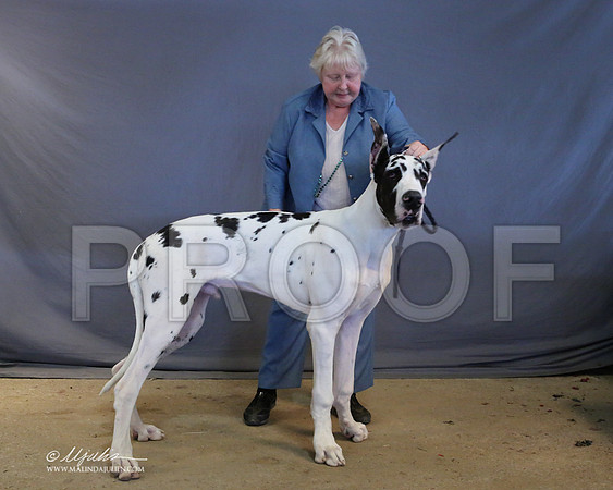 Dane-9030-LR