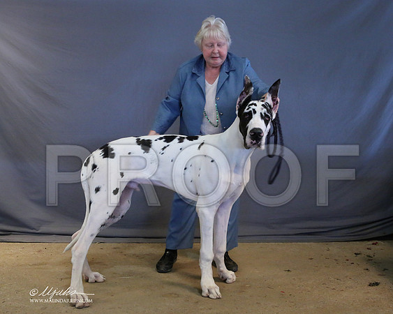 Dane-9029-LR
