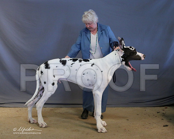Dane-9033-LR