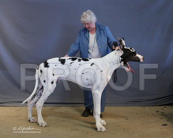 Dane-9034-LR